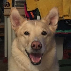 Meet your Posher, Linda